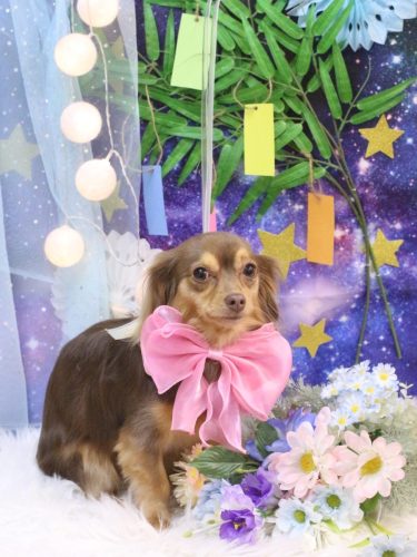 20250705いるちゃん